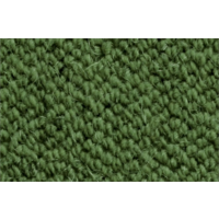 Antares Naturboden Grün
